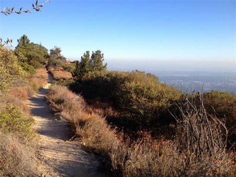 Pasadena hiking trails. Things To Know About Pasadena hiking trails. 